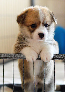 This is too cute