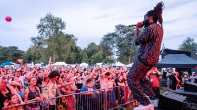 Vibrant Reggae Festival Wallpapers for Your Screen | baseball gambling, rtp mpo1221
