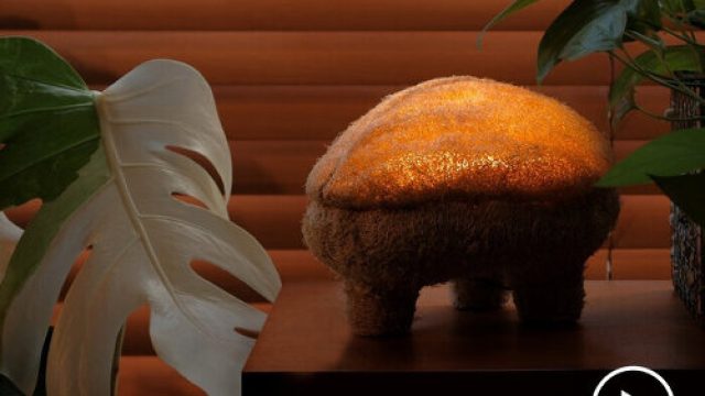 Transform Your Space with Nature-Inspired Wallpaper Designs | lapangan bola basket, link alternatif 