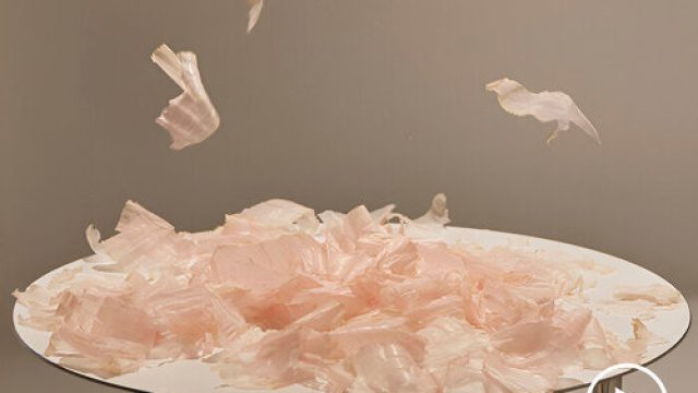 Fluid Motion in Photography: Captivating Visual Themes for Your Screen | free pokies downloads, toto