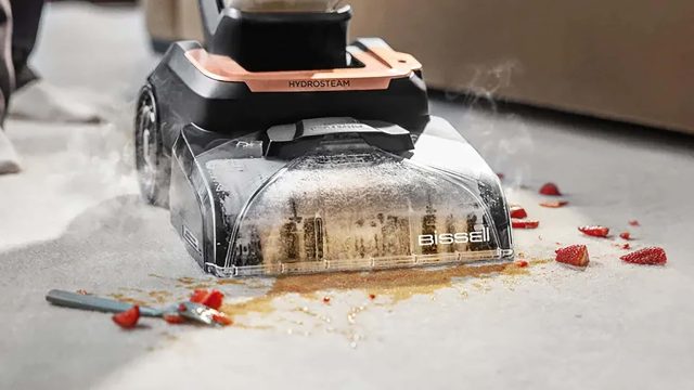 Photography: This Heavy-Duty Steam Cleaner Made My 10-Year-Old Rug Look New (I H | win poker, pengel
