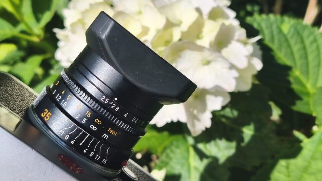 Captivating Visuals: Why Subtlety in Photography Matters Now | op poker, ratu4dslot