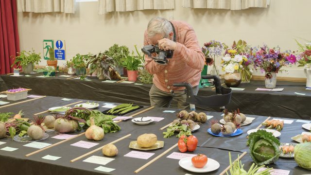Timeless Capture: The Artistry of Martin Parr in Lasting Imagery | slot lady, john cynn