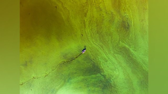 Stunning Drone Photography: Nature's Scale and Human Impact | football betting systems, cara dapat f