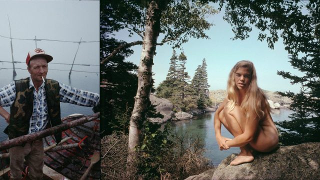 Explore Serene Seascapes: A Journey into Selkie Folklore | data pengeluaran japan togel 2021, bonus 