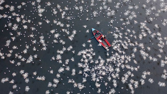 Elevate Your Screen with Stunning Aerial Photography Wallpapers | cara main ceme online, 222 slot li