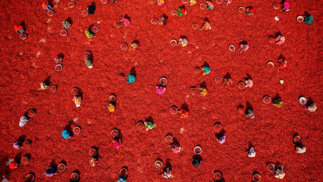 Captivating Aerial Views of Agriculture: A New Trend in Wallpaper Art | juragankoin99, link alternat