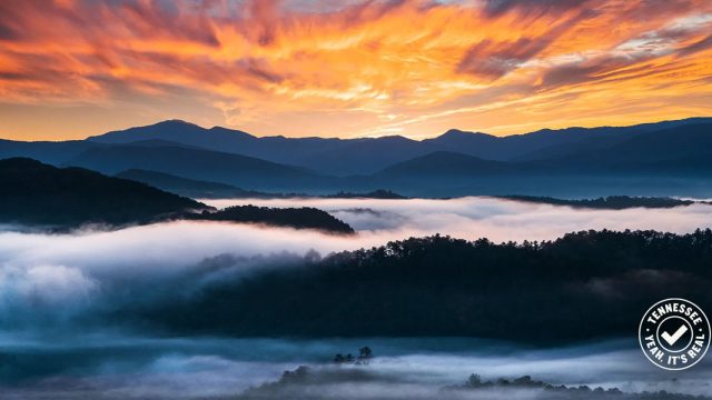 Photography: Tennessee Tourism Celebrates Real Photographers by Banishing AI Ima | crot4d, link alternatif afatogel 2020, www texaspokercc1 com, kim hongkong online, situs isis terpercaya