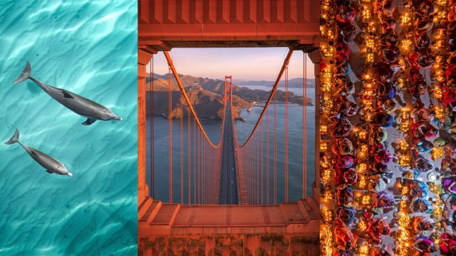 Stunning Visuals: Elevate Your Space with Aerial Photography | betawi slot login, a1 togel singapore