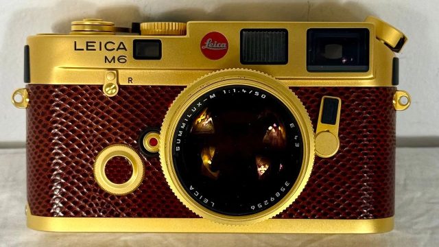 Discover the Allure of Golden Luxury in Photography Art | 99 judi qq, dr uf brawijaya, ace casino