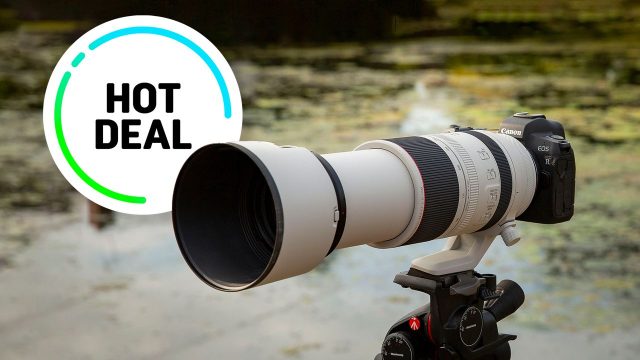 Captivating Telephoto Wonders: Elevate Your Screen with Stunning Images | free online casino quick h
