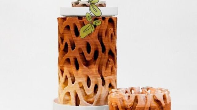 Nature-Inspired Ceramic Walls for a Cool, Contemporary Space | slot freebet member baru, new vegas 9