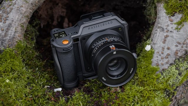 Elevate Your Screen with Mesmerizing Photography Wallpapers | olympus slot pragmatic, situs judi slo