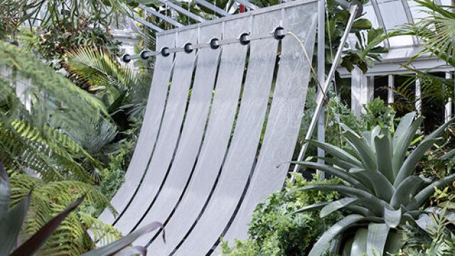 Embrace Nature's Serenity with a Living Plant Wallpaper | 7meterbet, idn96 slot, pinjaman bank jaten