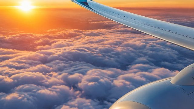 American Airlines Enhances Comfort with Updated Fleet for Summer Travels | togel singgapura hari ini