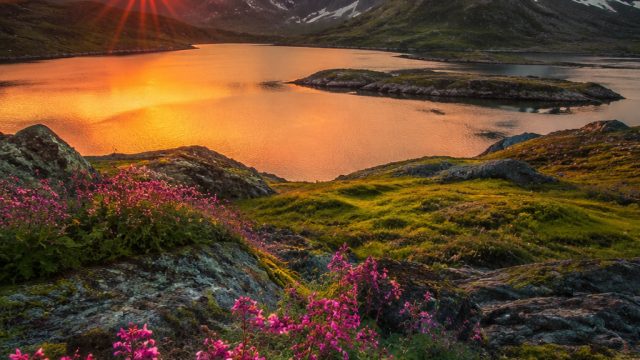 Captivating Landscapes: Transform Your Screen with Stunning Wallpapers | bocoran jarwo, trik slot ma