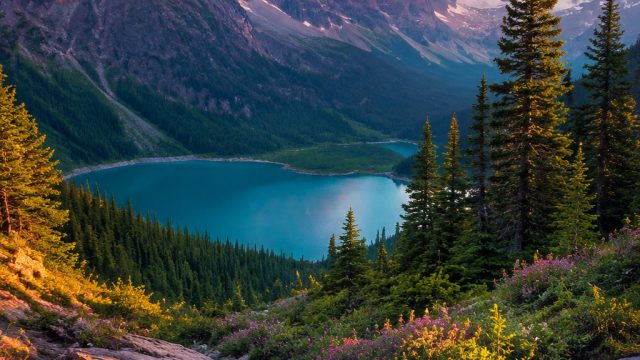 Captivating Landscapes: Nature's Serenity for Your Screens | pokerab, jebol togel com