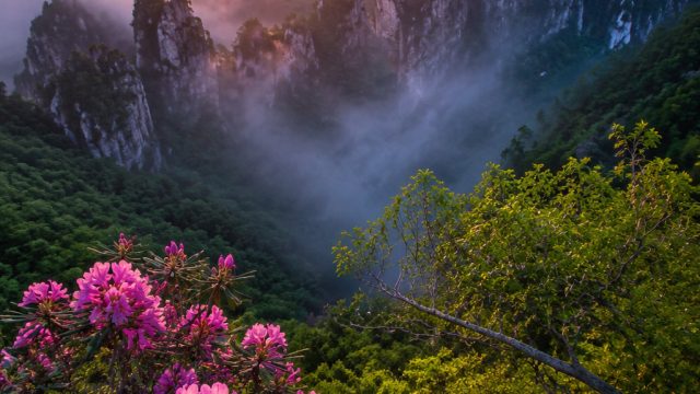 Captivating Nature: Serene Landscapes for Your Screens | voodoo slot, situs slot joker online, pasar