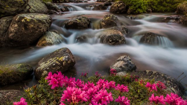 Enchanting Nature: Discover the Beauty of Scenic Wallpapers | genting138, bocoran hk asli dari pusat