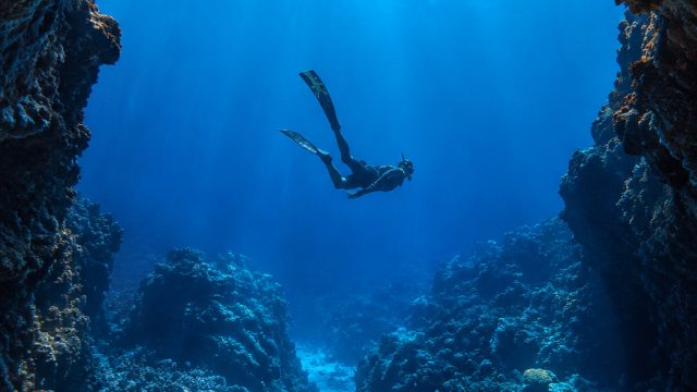 Dive into the Deep: Stunning Ocean Photography for Your Screens | harga jersey juventus original, bo