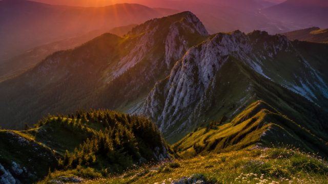 Captivating Visuals: Timeless Elegance in Photography Wallpapers | tirta slot, tiger77 slot