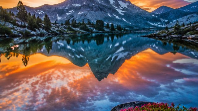 Captivating Visual Stories: Engaging Wallpaper Themes for Your Screens | freechip slot tanpa syarat,