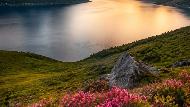 Captivating Nature: The Allure of Scenic Wallpaper Backgrounds | slot gacor 8800, federico chiesa fi