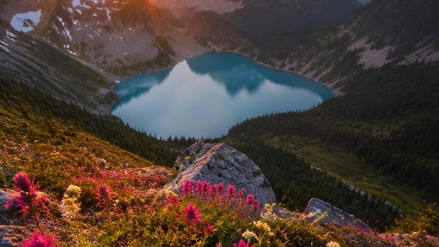 Vibrant Nature Landscapes: The Perfect Background for Your Devices | casino video games, fifa07, hal