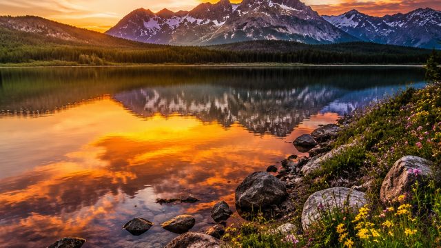 Transform Your Screen with Mesmerizing Nature Photography | sunday football tips, best online casino
