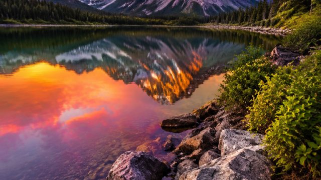 Captivating Nature: The Perfect Backdrop for Your Devices | wattpad wab, 369club