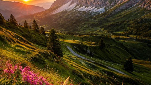 Elevate Your Screen with Stunning Nature-Inspired Wallpapers | age of gods king of olympus rtp, situ