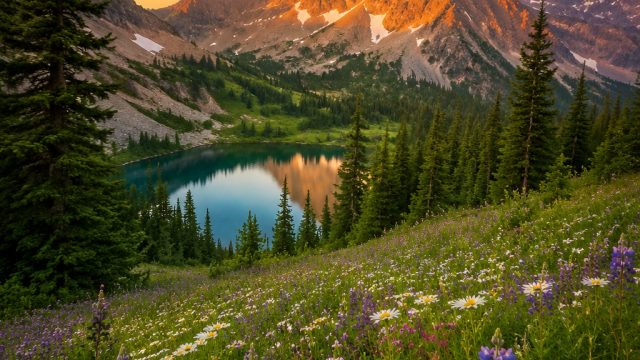 Captivating Nature Scenes: Elevate Your Screen with Stunning Wallpapers | bri slot 4d 24 jam online,