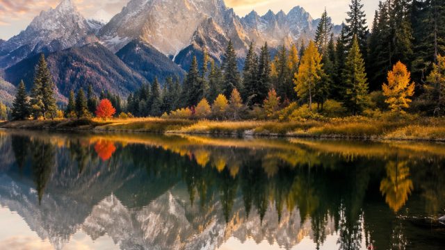 Stunning Visuals: Nature's Artwork as Your Desktop or Phone Background | slot hoki, judi slot lapak 