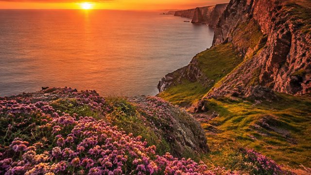 Exploring Vibrant Themes for Stunning Phone and Desktop Wallpapers | sultanbet89 login, slot 369 log