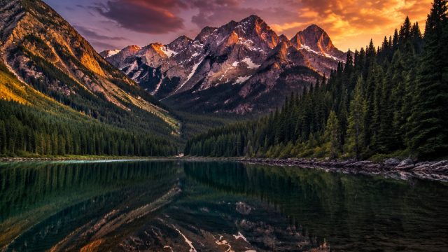 Captivating Nature Scenes: The Perfect Background for Your Device | icc t20 odds, slot mate slots