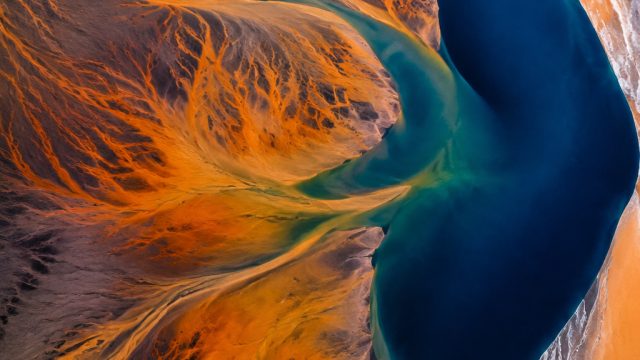 Stunning Organic Patterns for Your Device Background | tembus88, situs judi online idn