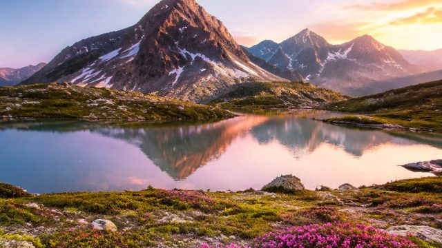 Vibrant Nature Wallpapers: Bringing the Outdoors to Your Screen | soju 88 slot rtp, final champions 