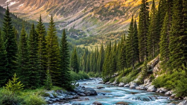 Vibrant Landscapes: Enchant Your Screens with Nature's Palette | deposit pulsa tri 5000, TOTOHONGKON