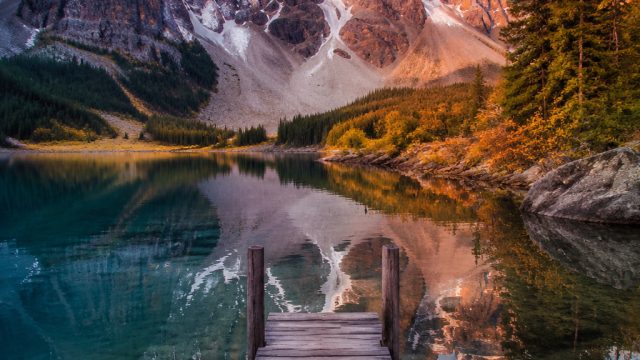 Exploring the Visual Artistry of Photography: Transforming Walls into Galleries | game slot online o