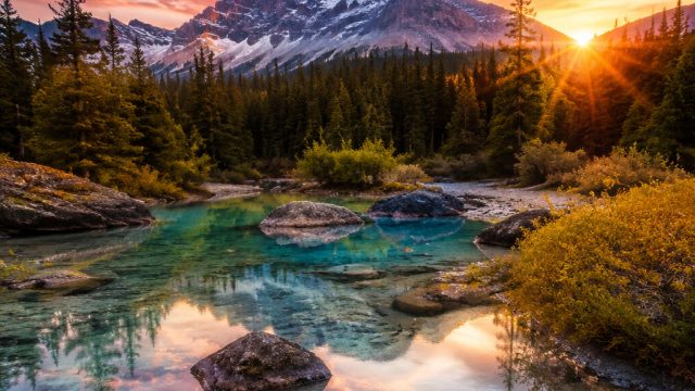 Explore Mesmerizing Nature: Stunning Wallpapers for Your Devices | betbonuscode365, syair hk omifram