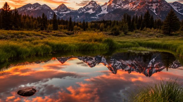 Captivating Visual Stories: The Art of Photography in Wallpapers | pyramid bonanza, induk organisasi