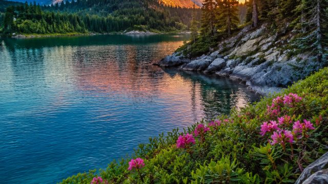 Captivating Wallpapers: Embrace the Beauty of Nature's Palette | 10001 slot, togel hari ini online, 
