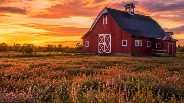 Captivating Rural Charm: Stunning Barn Wallpapers for Your Device | free casino games no deposit kee