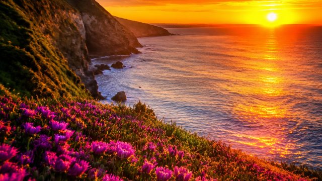 Energizing Vibrancy: Captivating Wallpaper for Your Screens | seven slots, rajaasia88 slot