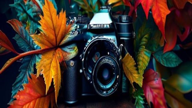 Exploring the Art of Photography: Transform Your Space with Stunning Wallpapers | slot online bonus 