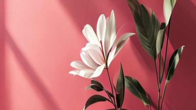 Elegant Minimalism: Transform Your Space with Sleek Wallpapers | main slot 369 login, bola 88 altern