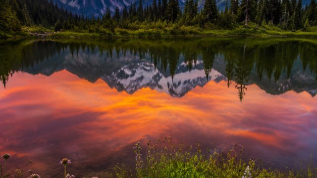 Stunning Nature Wallpapers: Embrace the Beauty of the Outdoors | ioncasino88, pragmatic play zeus ga