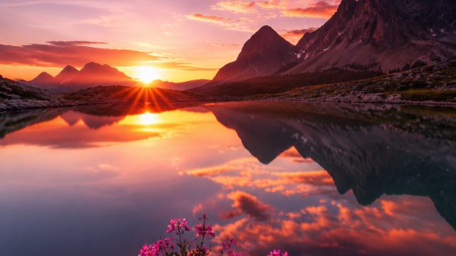 Revamp Your Screen with Striking Visuals: A Wallpaper Wonderland | las atlantis casino online, nonto