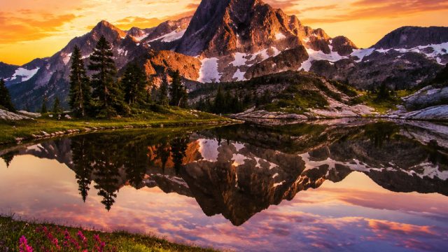 Elevate Your Screen with Stunning Wallpaper Gallery Themes | qqpanda99 link alternatif, naga 777 log