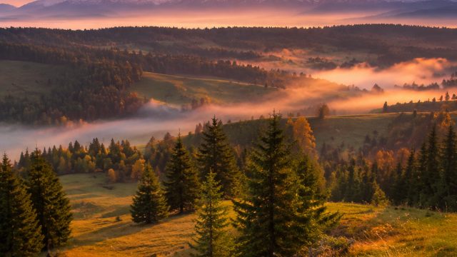 Explore Dynamic Visuals: Captivating Phone and Desktop Wallpapers | bulan4d slot, klr sgp hari ini, 